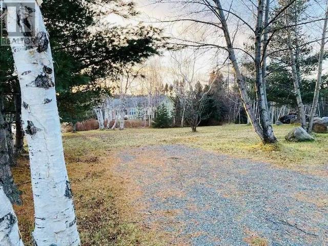 56 Loop Road, House detached with 2 bedrooms, 1 bathrooms and null parking in Terra Nova NL | Image 22