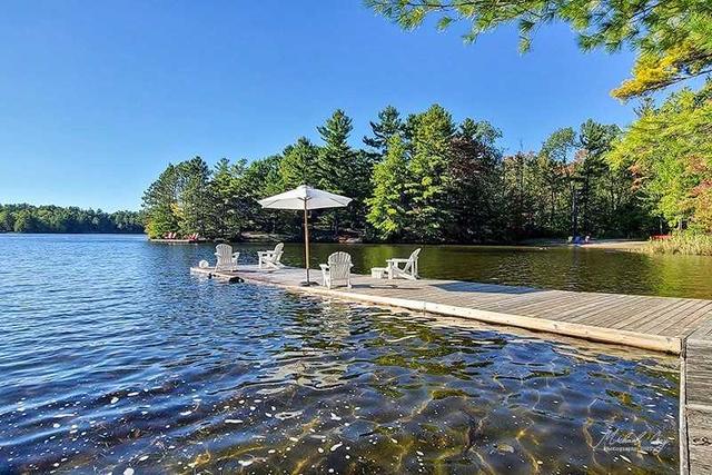 831 Go Home Lake Rd, House detached with 4 bedrooms, 2 bathrooms and 7 parking in Georgian Bay ON | Image 31