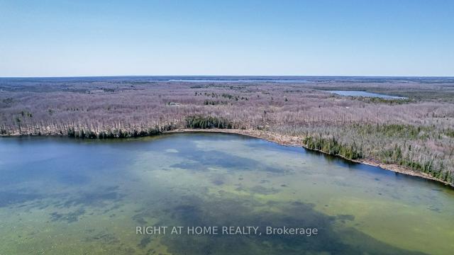 164 Sugar Bush Rd, House detached with 1 bedrooms, 0 bathrooms and 0 parking in Kawartha Lakes ON | Image 5