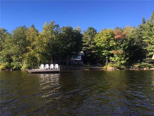 3646 Muskoka Raod 12 Rd, House detached with 3 bedrooms, 2 bathrooms and 6 parking in Muskoka Lakes ON | Image 7