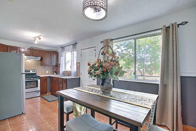 242 Martinbrook Place Ne, House detached with 3 bedrooms, 1 bathrooms and 2 parking in Calgary AB | Image 9