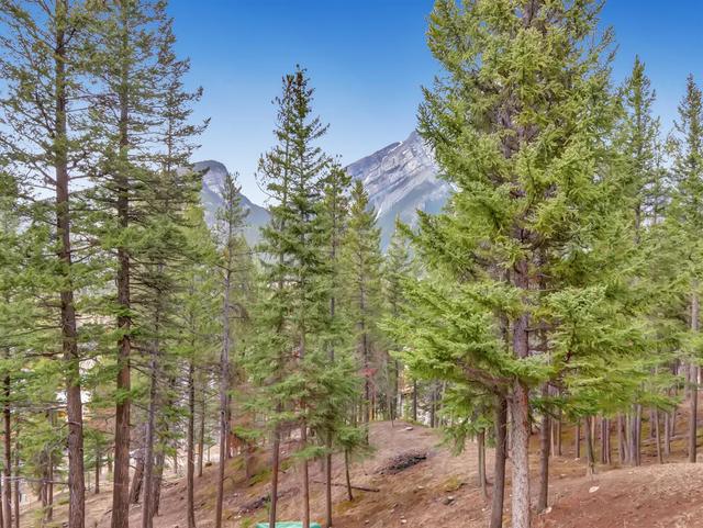 f - 2 Otter Lane, Condo with 2 bedrooms, 2 bathrooms and 2 parking in Banff AB | Image 4