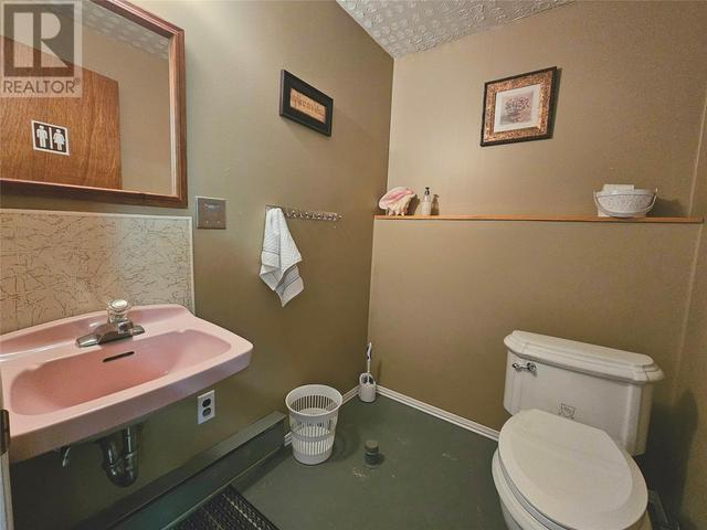 49 Birchview Drive, House detached with 2 bedrooms, 1 bathrooms and null parking in Pasadena NL | Image 21