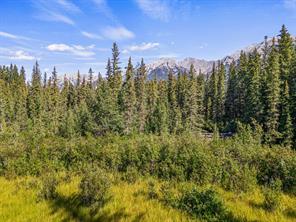 38 - 1530 7th Avenue, Home with 3 bedrooms, 1 bathrooms and 2 parking in Kananaskis AB | Image 2