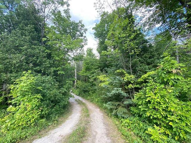 0 Highway 35 N, Home with 0 bedrooms, 0 bathrooms and null parking in Kawartha Lakes ON | Image 16