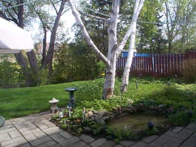 86 Saskatoon Dr, House detached with 3 bedrooms, 2 bathrooms and 5 parking in Toronto ON | Image 9
