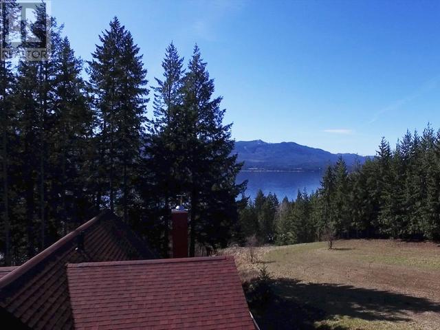 2589 Airstrip Road, House detached with 3 bedrooms, 3 bathrooms and 2 parking in Columbia Shuswap F BC | Image 2