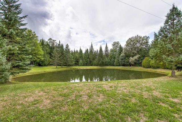 12701 Regional Road 57 Rd, House detached with 3 bedrooms, 2 bathrooms and 50 parking in Scugog ON | Image 20