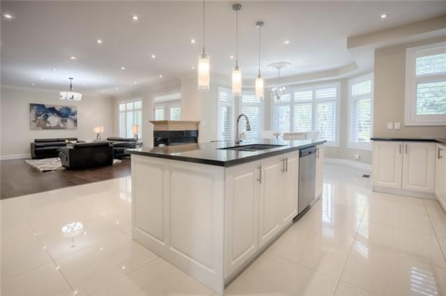253 Palmer Ave, House detached with 4 bedrooms, 5 bathrooms and 7 parking in Richmond Hill ON | Image 9