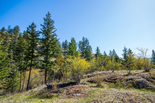 0000 Eastside Road, Home with 0 bedrooms, 0 bathrooms and null parking in Vernon BC | Image 28