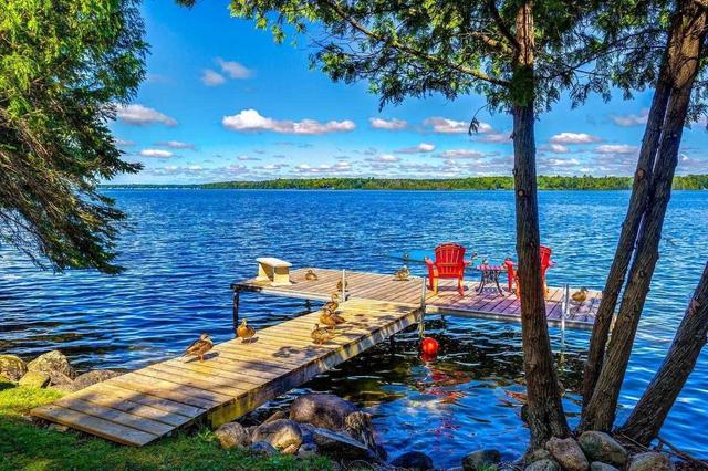 100 Sandy Beach Rd, House detached with 5 bedrooms, 3 bathrooms and 12 parking in Kawartha Lakes ON | Image 23