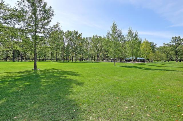 4627 70 Street Nw, Home with 4 bedrooms, 3 bathrooms and 2 parking in Calgary AB | Image 13