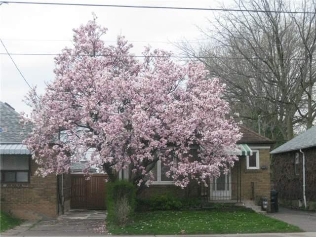 1356 Woodbine Ave, House detached with 2 bedrooms, 1 bathrooms and 1 parking in Toronto ON | Image 1