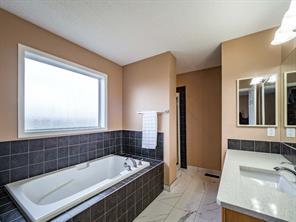 279 Martin Crossing Place Ne, House detached with 3 bedrooms, 3 bathrooms and 4 parking in Calgary AB | Image 19