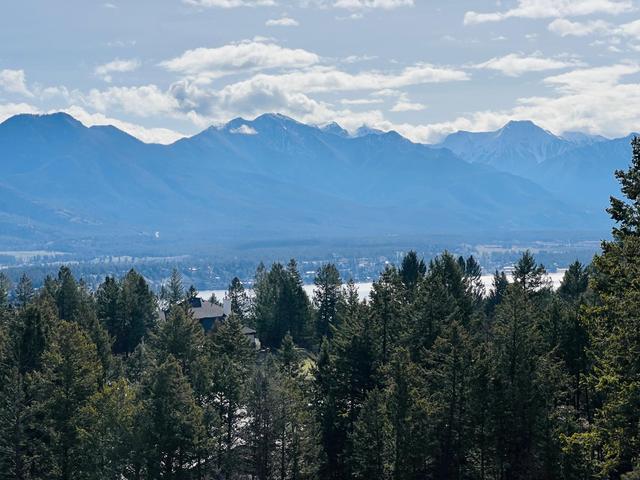 1711 Pine Ridge Mountain Place, House detached with 4 bedrooms, 3 bathrooms and 4 parking in Invermere BC | Image 24