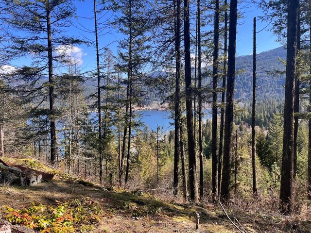 1614 Strome Road, House detached with 3 bedrooms, 1 bathrooms and null parking in Kootenay Boundary C BC | Image 27