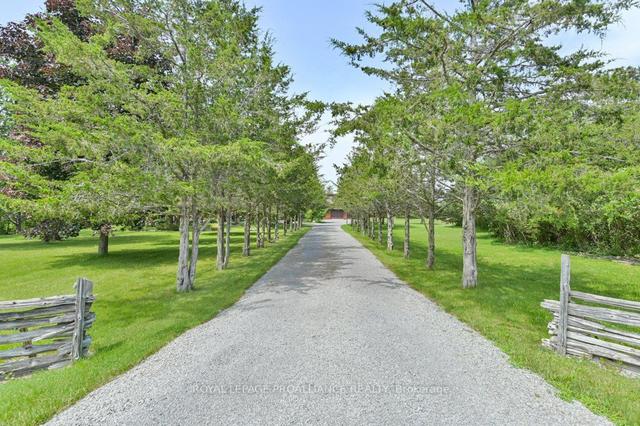 1156 Christian Rd, House detached with 3 bedrooms, 1 bathrooms and 7 parking in Prince Edward County ON | Image 12