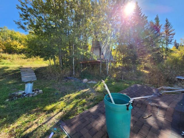 4806 48 Avenue, House detached with 2 bedrooms, 1 bathrooms and 4 parking in Thorhild County AB | Image 13