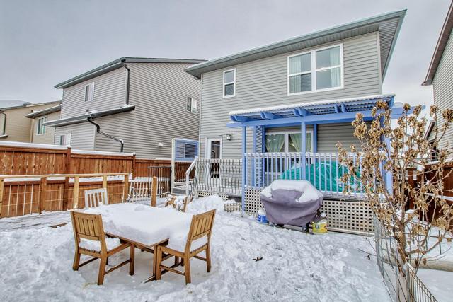 146 Skyview Springs Crescent Ne, House detached with 4 bedrooms, 3 bathrooms and 2 parking in Calgary AB | Image 49