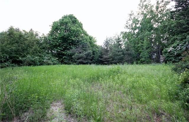 Lot 2 Thompson St, Home with 0 bedrooms, null bathrooms and null parking in Innisfil ON | Image 2