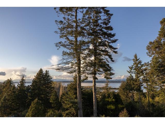 2729 Crescent Drive, House detached with 5 bedrooms, 7 bathrooms and 8 parking in Surrey BC | Image 39
