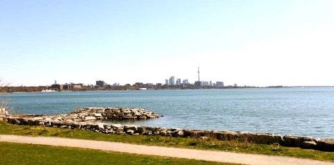 225 - 58 Marine Parade Dr, Condo with 0 bedrooms, 1 bathrooms and 1 parking in Toronto ON | Image 11