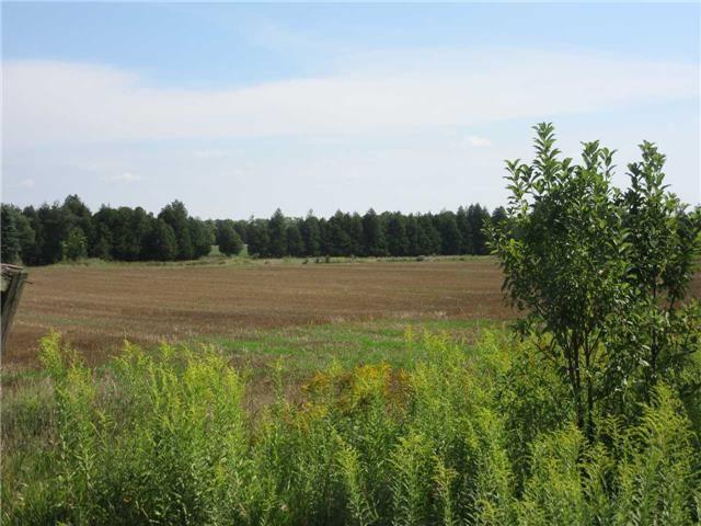 098311 4th Line Sw Acre, Home with 3 bedrooms, 2 bathrooms and 6 parking in Melancthon ON | Image 14