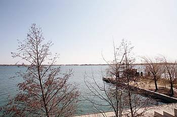 th415 - 99 Harbour Sq, Townhouse with 2 bedrooms, 3 bathrooms and 2 parking in Toronto ON | Image 9