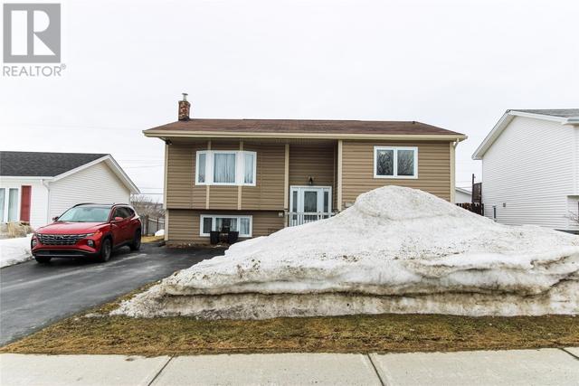 113 Michener Avenue, House detached with 3 bedrooms, 1 bathrooms and null parking in Mount Pearl NL | Image 1
