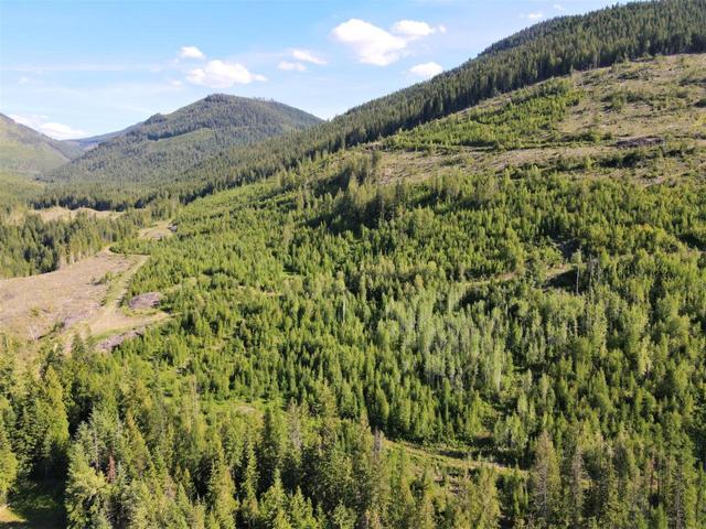 00 Seven Mile Dam Road, Home with 0 bedrooms, 0 bathrooms and null parking in Kootenay Boundary A BC | Image 9