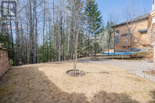 9521 Wedgewood Drive S, House detached with 4 bedrooms, 2 bathrooms and 6 parking in Grande Prairie County No. 1 AB | Image 29