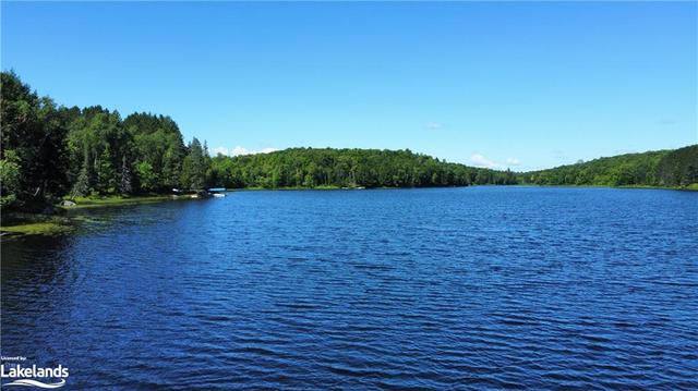 0000 Jack's Lake, Home with 0 bedrooms, 0 bathrooms and null parking in Parry Sound, Unorganized, Centre Part ON | Image 12
