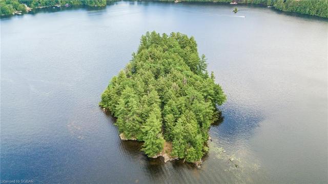 1000 Auricula Island, House detached with 3 bedrooms, 1 bathrooms and null parking in Bracebridge ON | Image 2