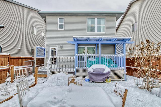 146 Skyview Springs Crescent Ne, House detached with 4 bedrooms, 3 bathrooms and 2 parking in Calgary AB | Image 44