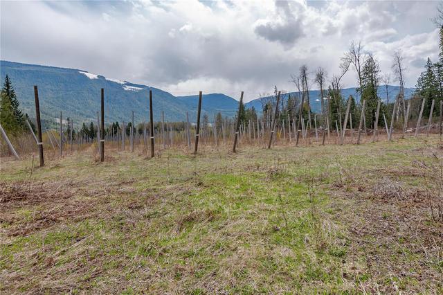 3600 Erickson Road, House detached with 3 bedrooms, 3 bathrooms and 13 parking in Columbia Shuswap E BC | Image 44