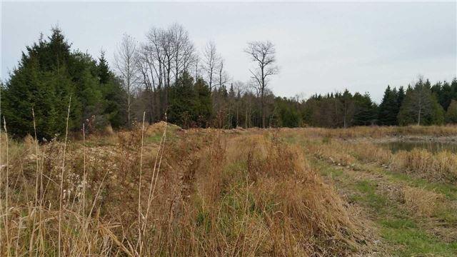lt #12 - lot 17 4th Line, Home with 0 bedrooms, 0 bathrooms and null parking in Melancthon ON | Image 2