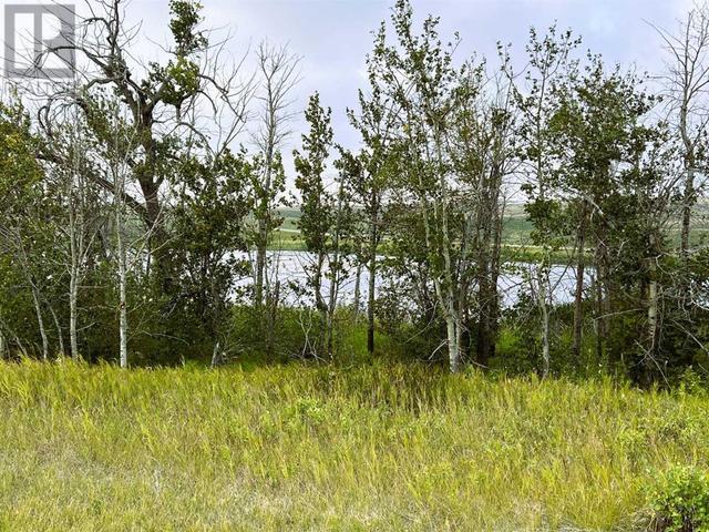9023 Highway 41, House detached with 1 bedrooms, 0 bathrooms and null parking in Cypress County AB | Image 7