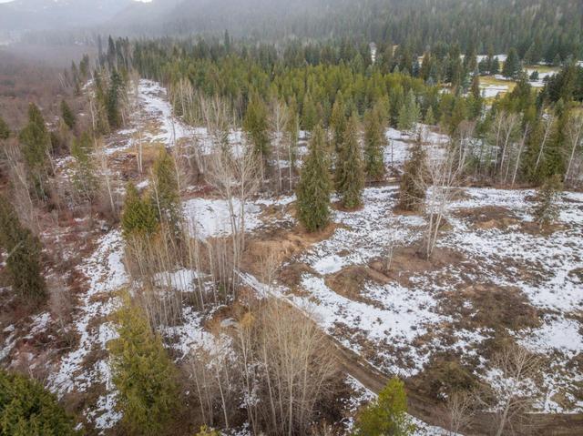 101 Champion Park Road, House detached with 4 bedrooms, 2 bathrooms and null parking in Kootenay Boundary A BC | Image 59