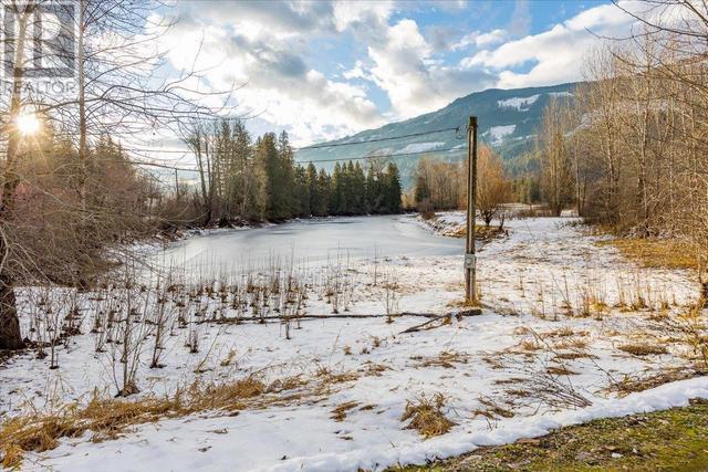 2269 Solsqua Road, House detached with 2 bedrooms, 2 bathrooms and 22 parking in Columbia Shuswap E BC | Image 33