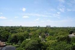 1211 - 233 Beecroft Rd, Condo with 1 bedrooms, 1 bathrooms and 1 parking in Toronto ON | Image 13