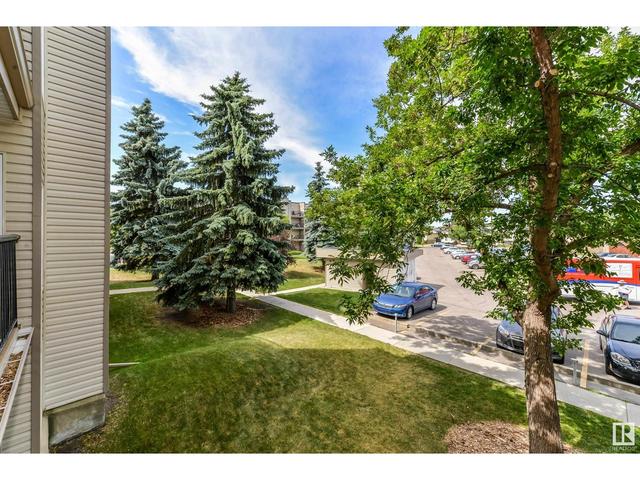 207 - 9810 178 St Nw Nw, Condo with 1 bedrooms, 1 bathrooms and null parking in Edmonton AB | Image 32