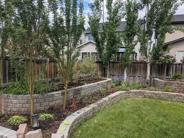 223 Chapalina Heights Se, House detached with 5 bedrooms, 3 bathrooms and 4 parking in Calgary AB | Image 42