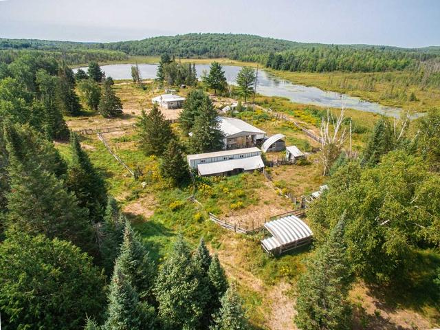 2337 Paugh Lake Rd, House detached with 3 bedrooms, 2 bathrooms and 18 parking in Madawaska Valley ON | Image 16