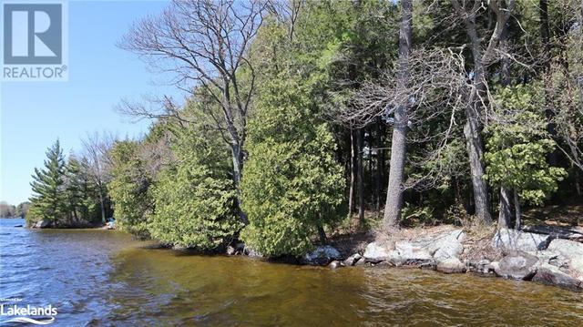 7 - m7 Miramichi Island, Home with 0 bedrooms, 0 bathrooms and null parking in Muskoka Lakes ON | Image 8