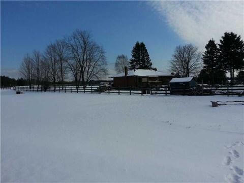 531 Highway 35 Pt, Home with 2 bedrooms, 2 bathrooms and 10 parking in Kawartha Lakes ON | Image 1
