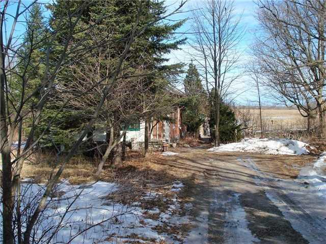 350 Ranchers Rd N, House detached with 3 bedrooms, 2 bathrooms and 4 parking in Kawartha Lakes ON | Image 3