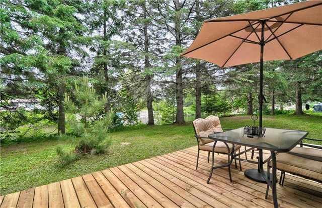 82 Riverbank Rd, House detached with 3 bedrooms, 1 bathrooms and 8 parking in Kawartha Lakes ON | Image 17