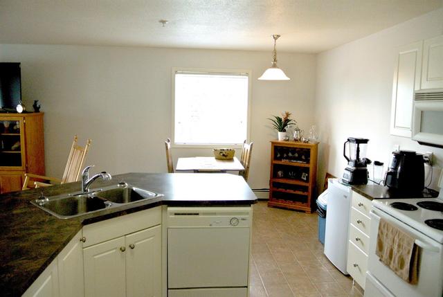 301 - 3730 50 Avenue, Condo with 2 bedrooms, 1 bathrooms and 1 parking in Red Deer AB | Image 9