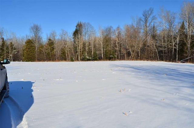 0 Bush Rd, Home with 0 bedrooms, null bathrooms and null parking in Kawartha Lakes ON | Image 2