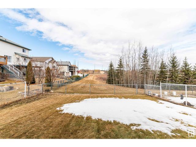 348 Wild Rose Wy Nw, House detached with 3 bedrooms, 3 bathrooms and null parking in Edmonton AB | Image 53